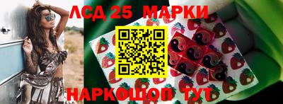 стаф Аргун
