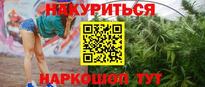 стаф Аргун