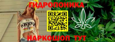 стаф Аргун