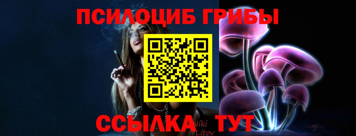 Галлюциногенные грибы Psilocybe  Вход с VPN  магазин  наркотиков  Выкса 